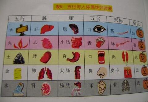 五行文化基础知识,五行学说基本知识
