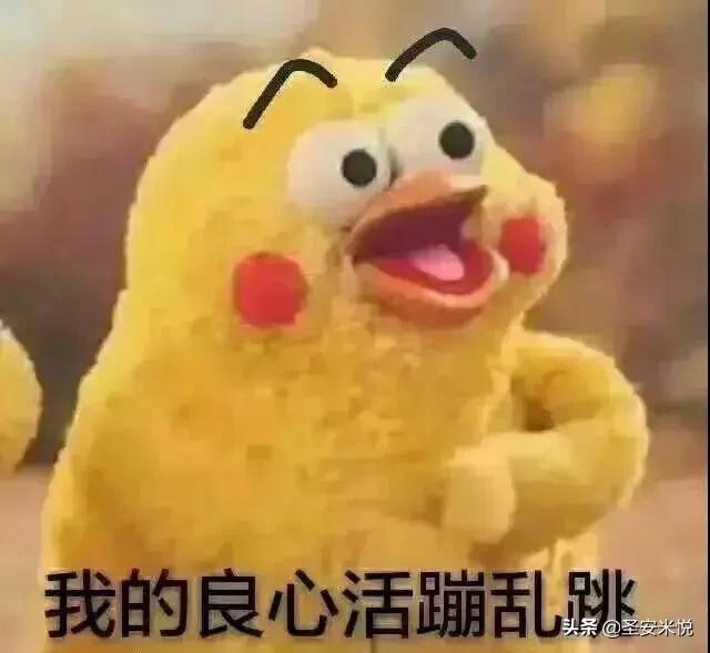 彩虹合唱团春节自救指南完整版,2018春节自救指南