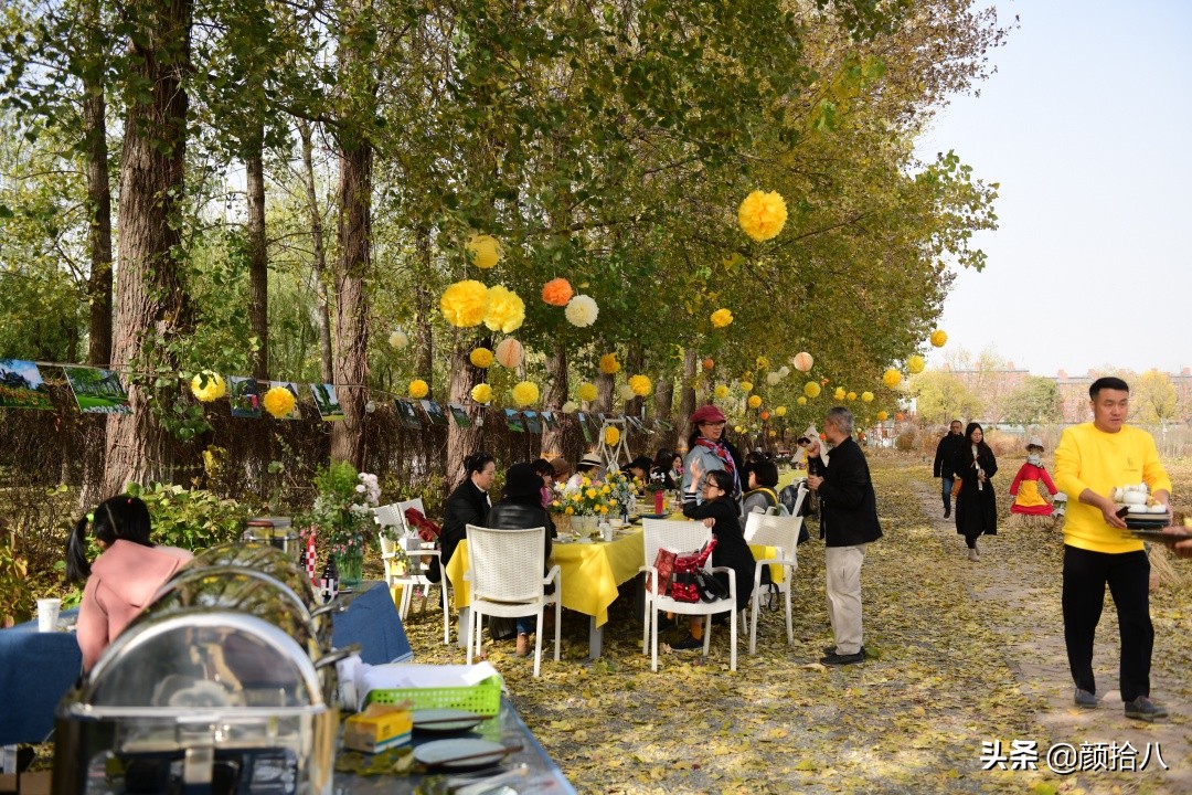 没有比利时花园游,来点比利时啤酒吧|随笔