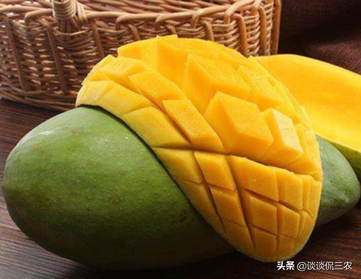 芒果怎么买才正确,怎么购买芒果最好