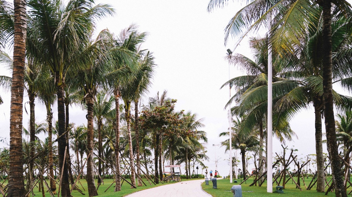 三亚打卡地点推荐旅游攻略,三亚小众打卡拍照推荐