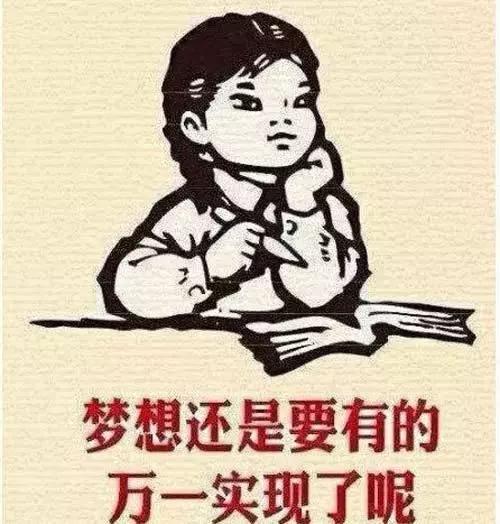 男人女人小孩咱都说过了,今天来说说这个重要家庭成员