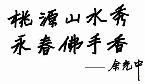 永春佛手茶对比铁观音,永春佛手茶和铁观音茶的区别