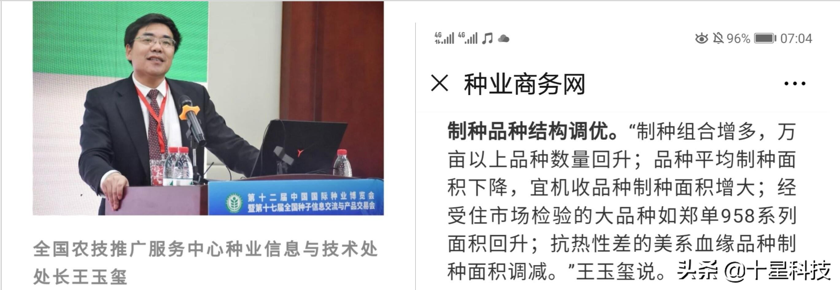 赠送种子助农增收活动,免费送稻种带动350户春耕