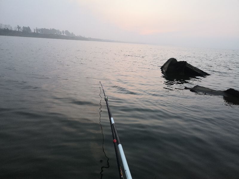 一味ex全能战比较,一味ex实测