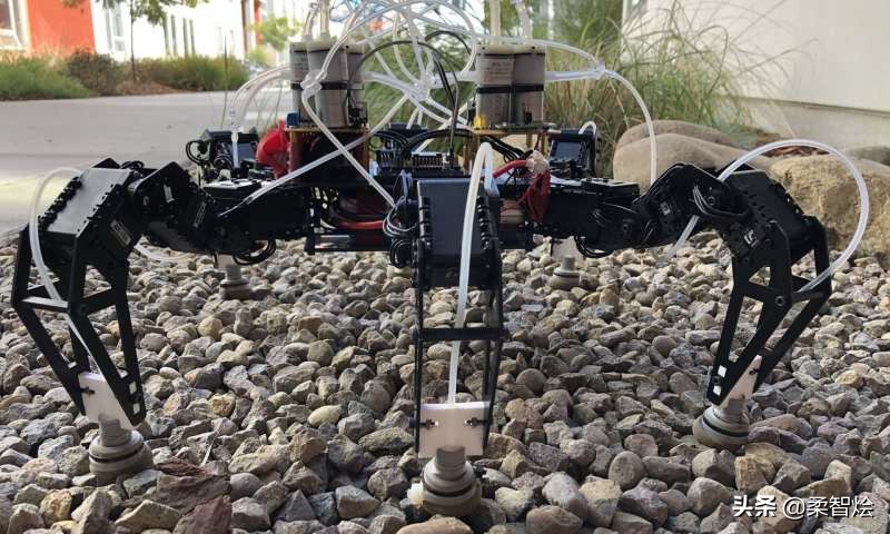 多足蜘蛛机器人仿真,自适应多足机器人