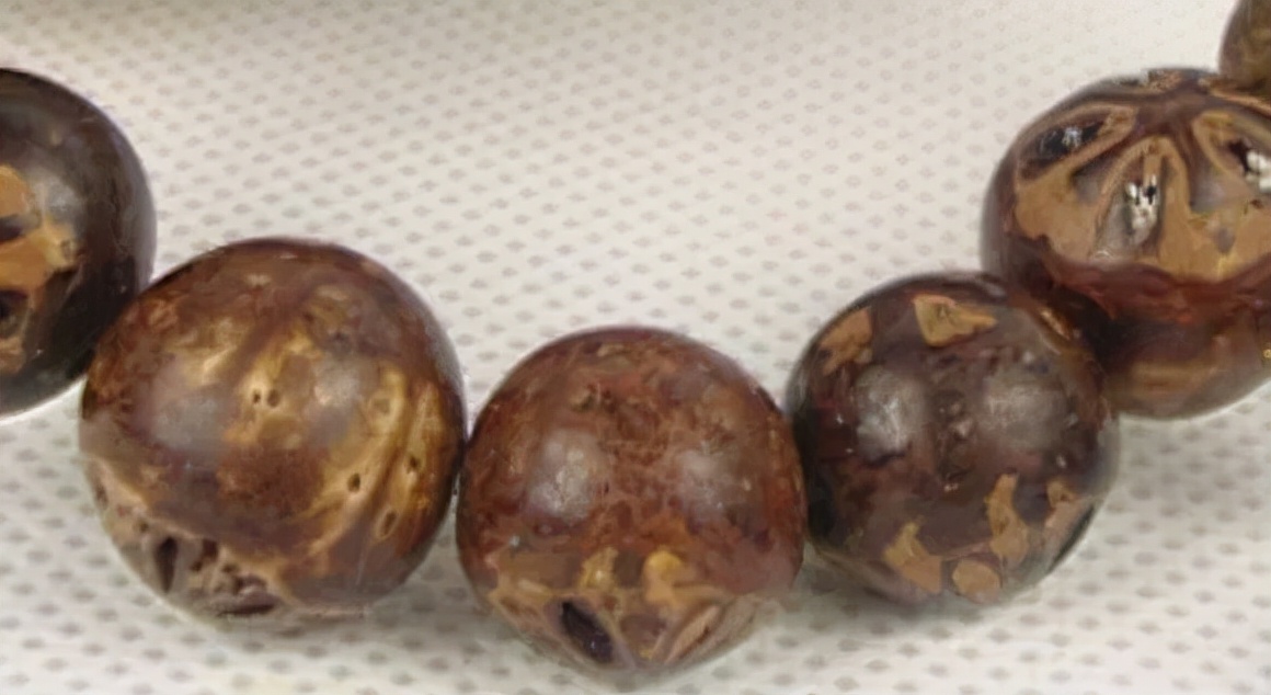 冷门菩提图片大全,比较少见的菩提