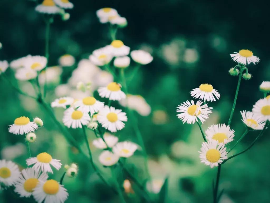 切脉针灸创始人俞云在哪里治疗,俞云教授切脉针灸治疗癌症