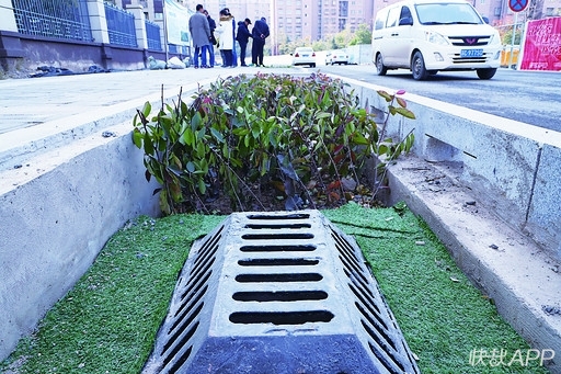 会吸水的城市,徐州海绵城市的要求