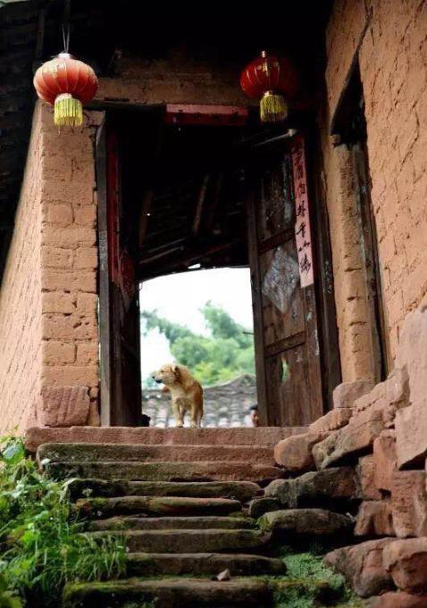 李子柒令人向往的世外桃源生活,李子柒记录的简单淳朴的田园生活