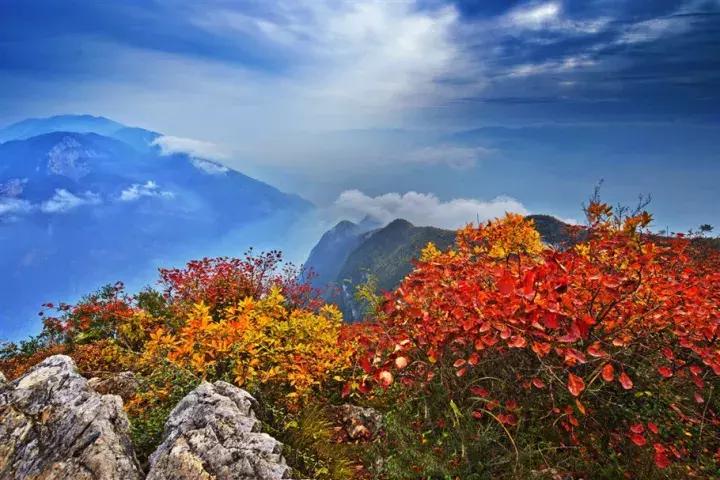 比光雾山还红，比金川彩林还晚，中国顶级的红叶盛宴正当时！