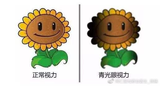 眼科护理手册最新版,眼底病科普手册