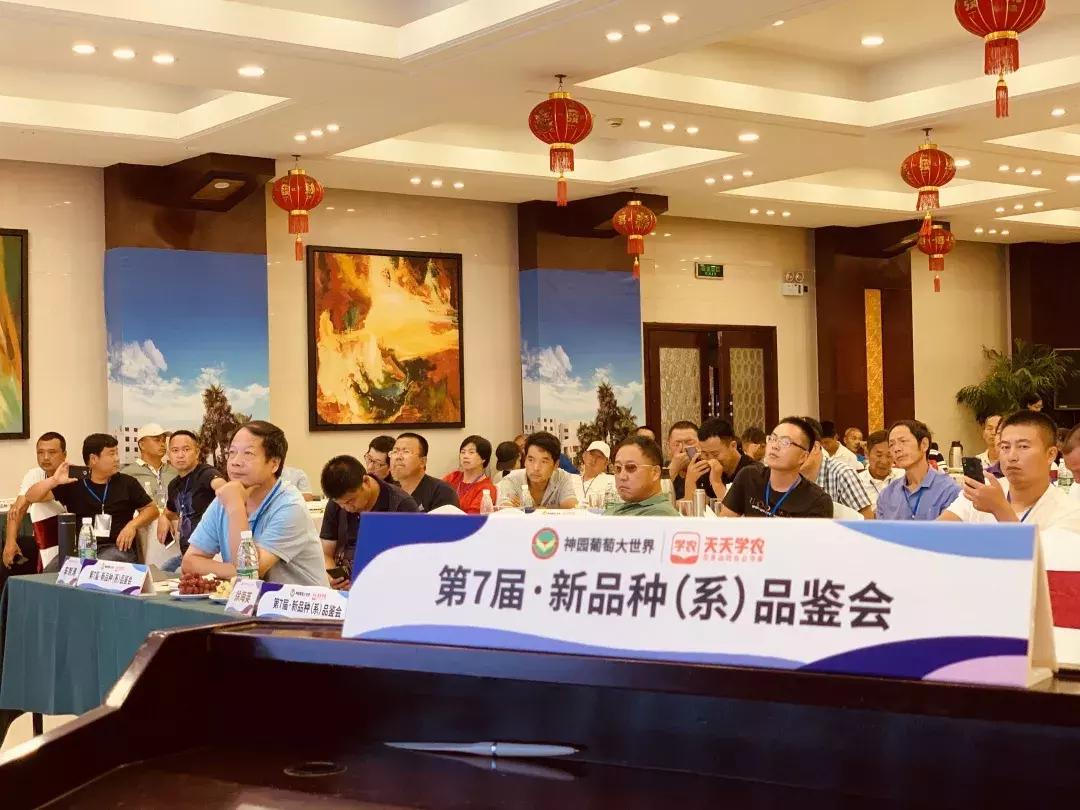 葡萄新品种发展潜力,未来5年最具潜力的葡萄品种