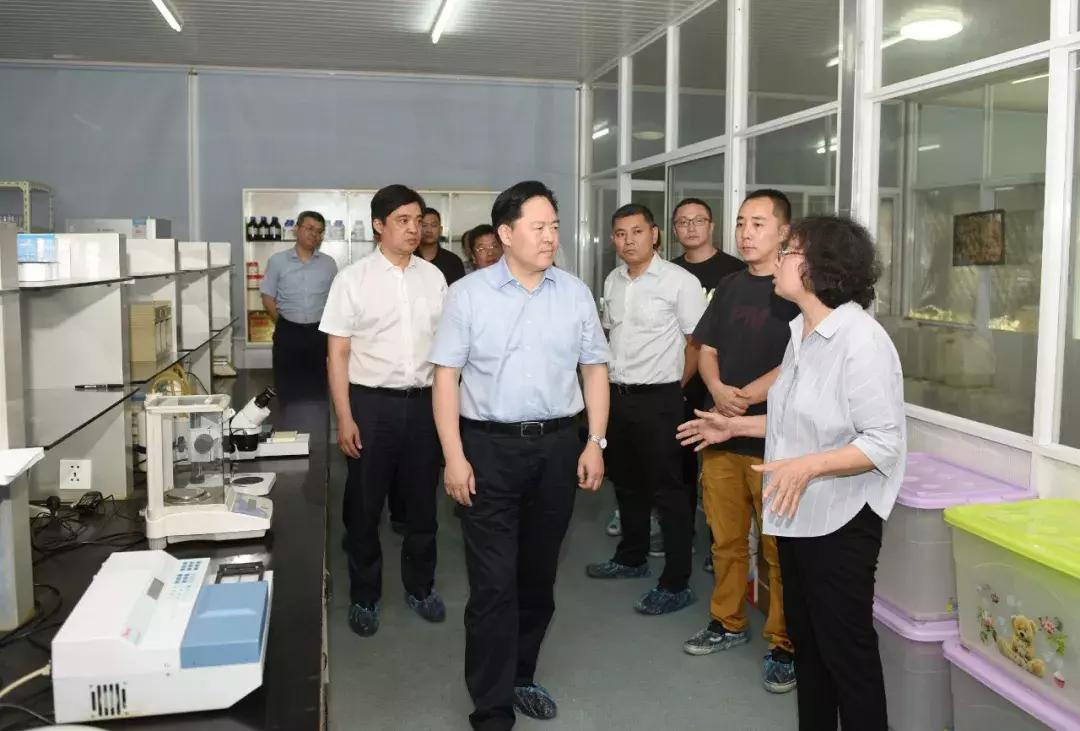 云亭、祝塘……我们的家园竟然有这么多新变化