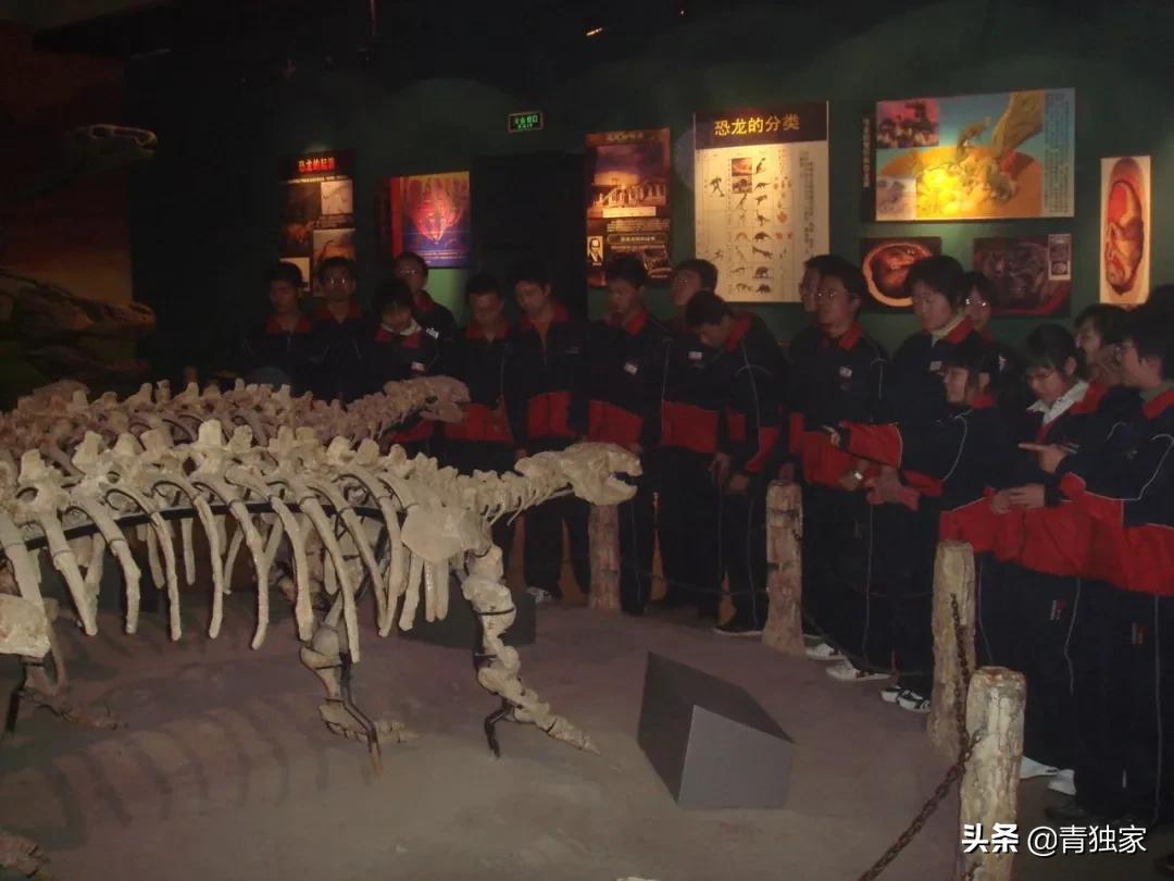 鐕庡師璁″垝浣滃搧灏忓,鐕庡師璁″垝