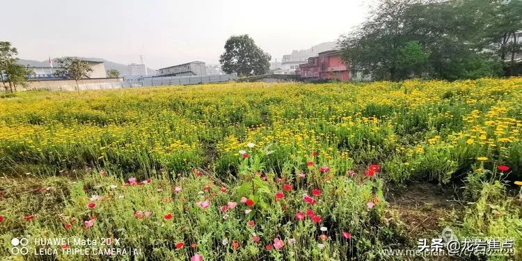 长汀一日游的视频,长汀自驾游攻略一日游