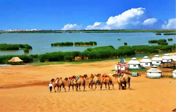 中国各地特产一览表（建议收藏）,各地特产美食一览表