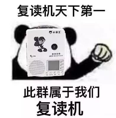 电音群,电音组合成员排行榜