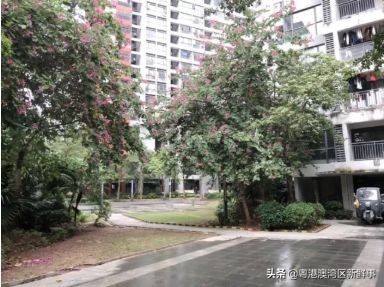 宀佹湀闈欏ソ澶氬Э澶氬僵,鑺辨牱骞村埆鏍峰煄娲嬫埧