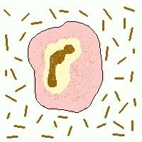 内裤穿一段时间就脏了怎么清洗,内裤脏脏的要几天干净