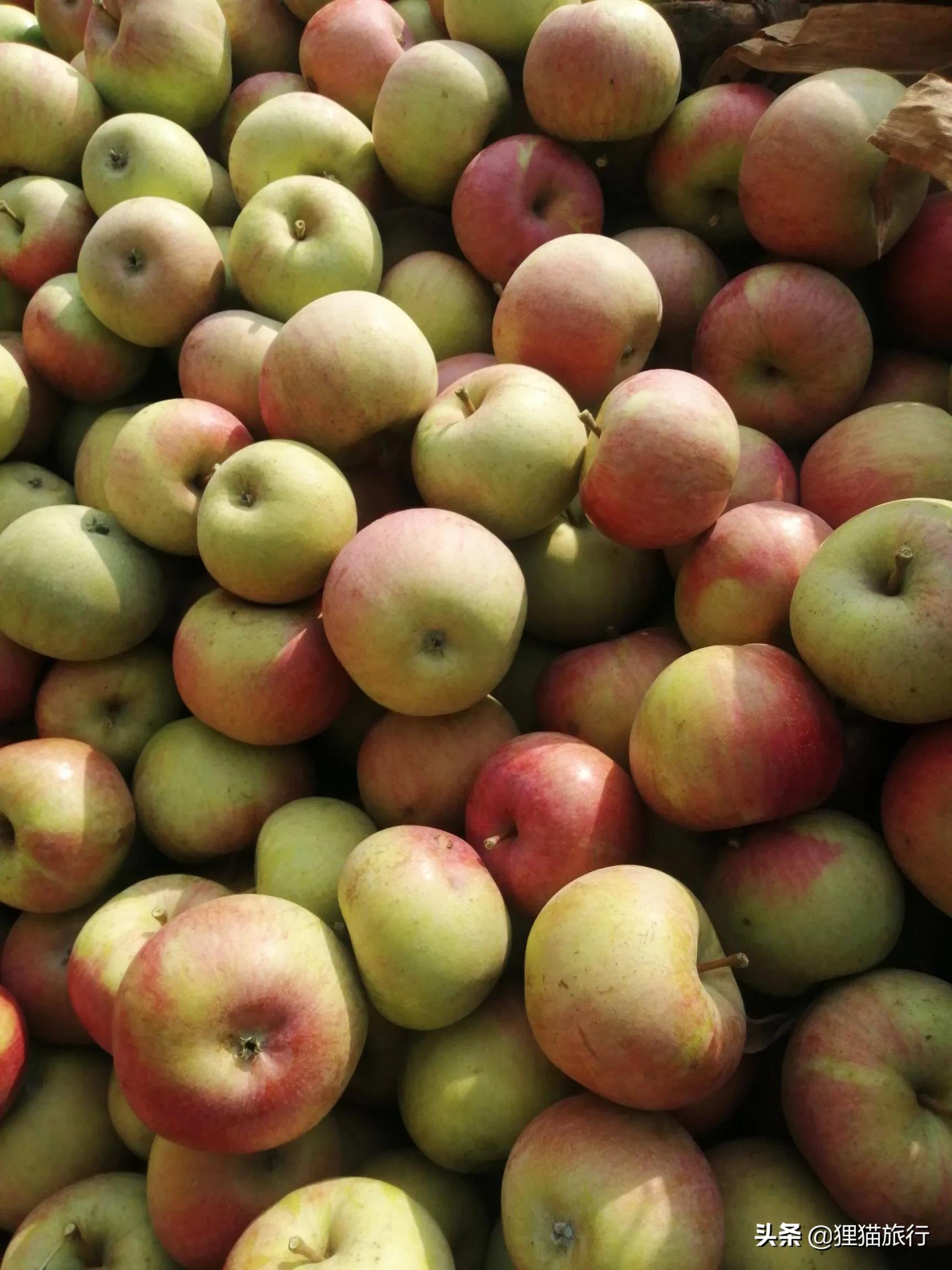 五莲山九仙山为什么有名,五莲九仙山孙膑书院的传说