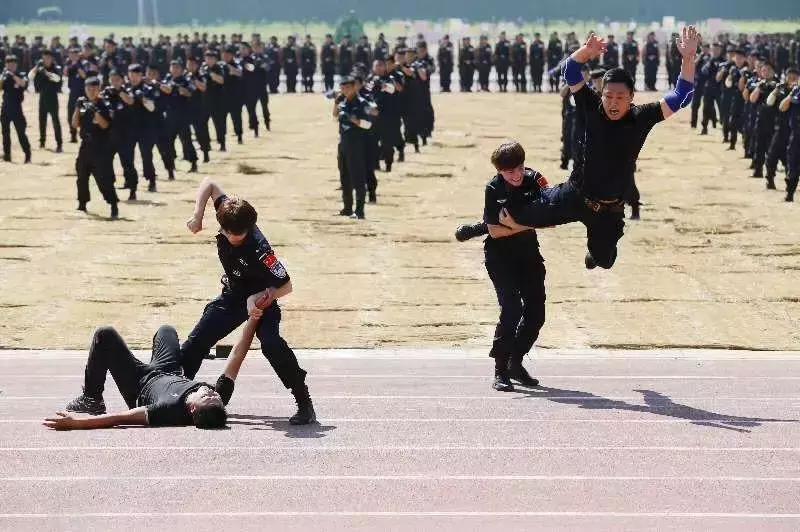 致敬警察的舞蹈,致敬是什么意思