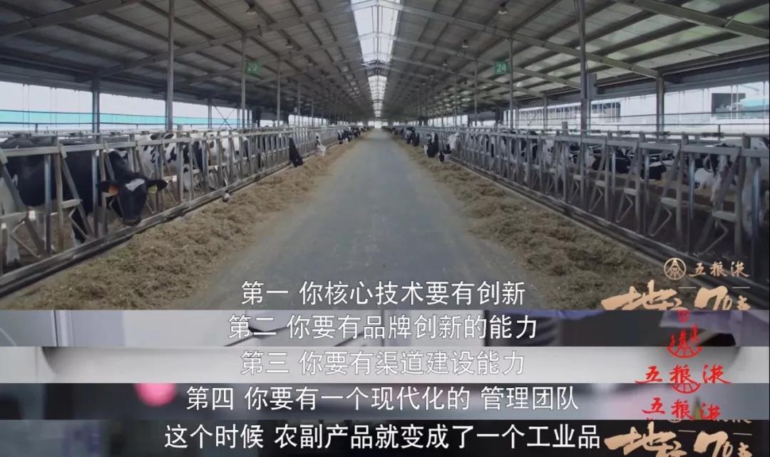 重新认识价值,重新认识东北完整版