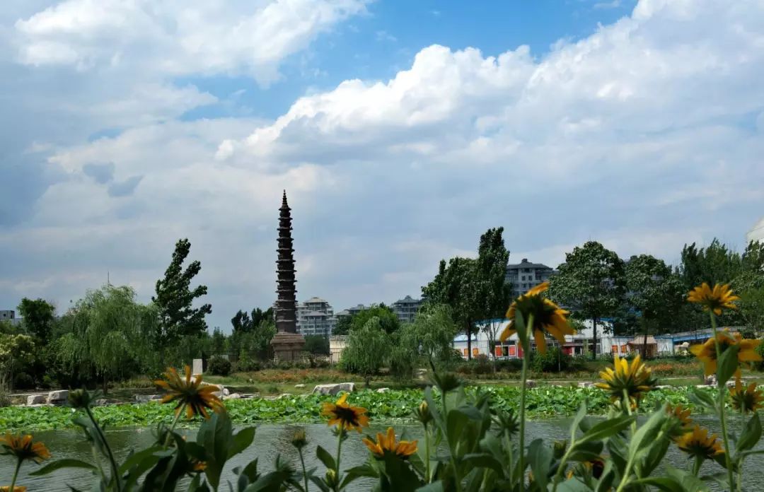 聊城什么东西最出名,聊城旅游最好玩又便宜的地方