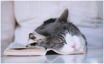 原来很黑要用什么美白,天生黑怎么美白最有效最直接