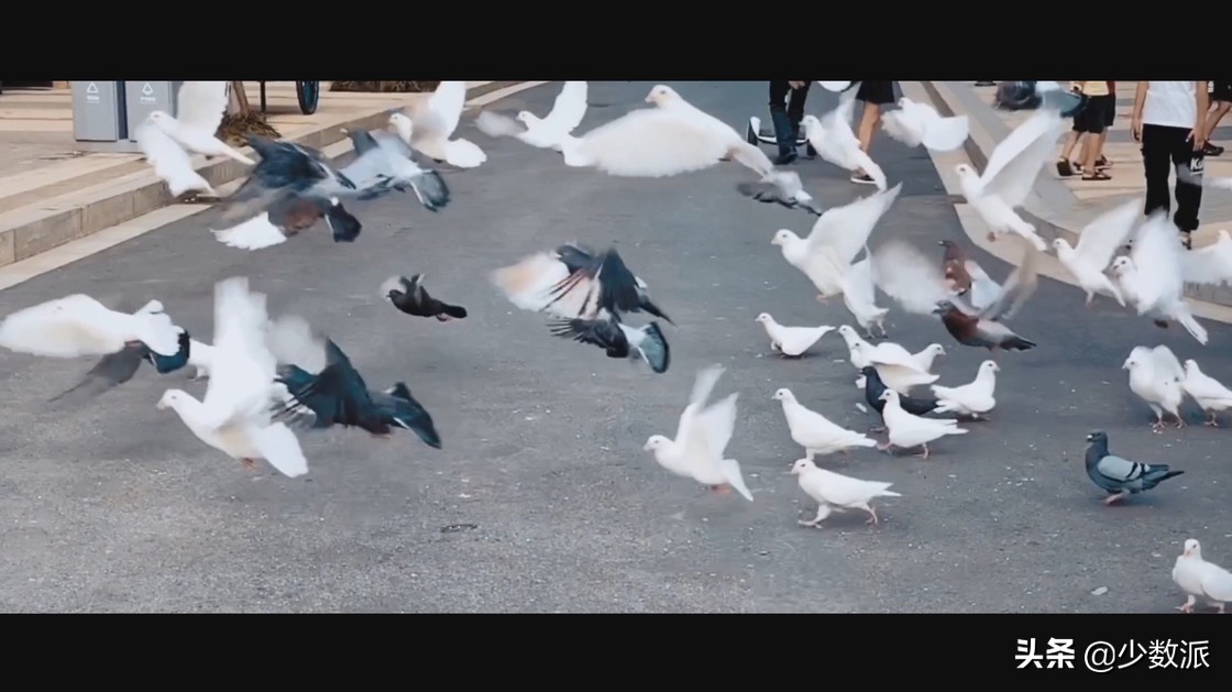 iPad是「无用的玩具」？用了一年，它为我打开了另一个世界