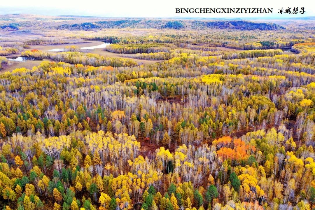 深秋的大兴安岭色彩斑斓,大兴安岭的秋天美景