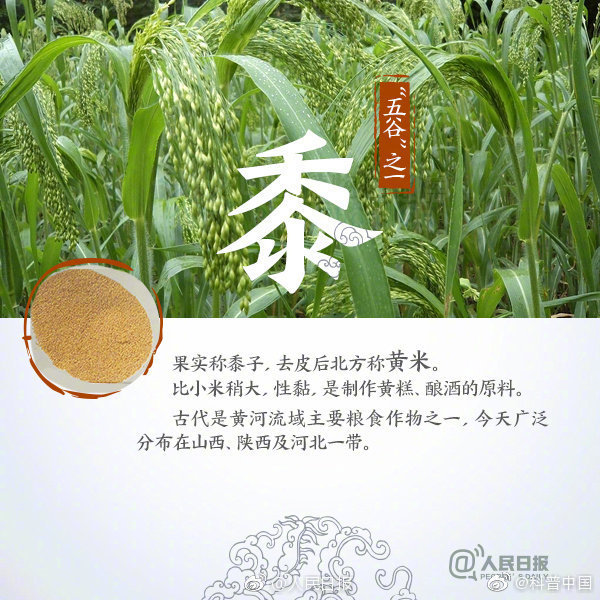 五谷杂粮最养人,五谷怎么吃最养人