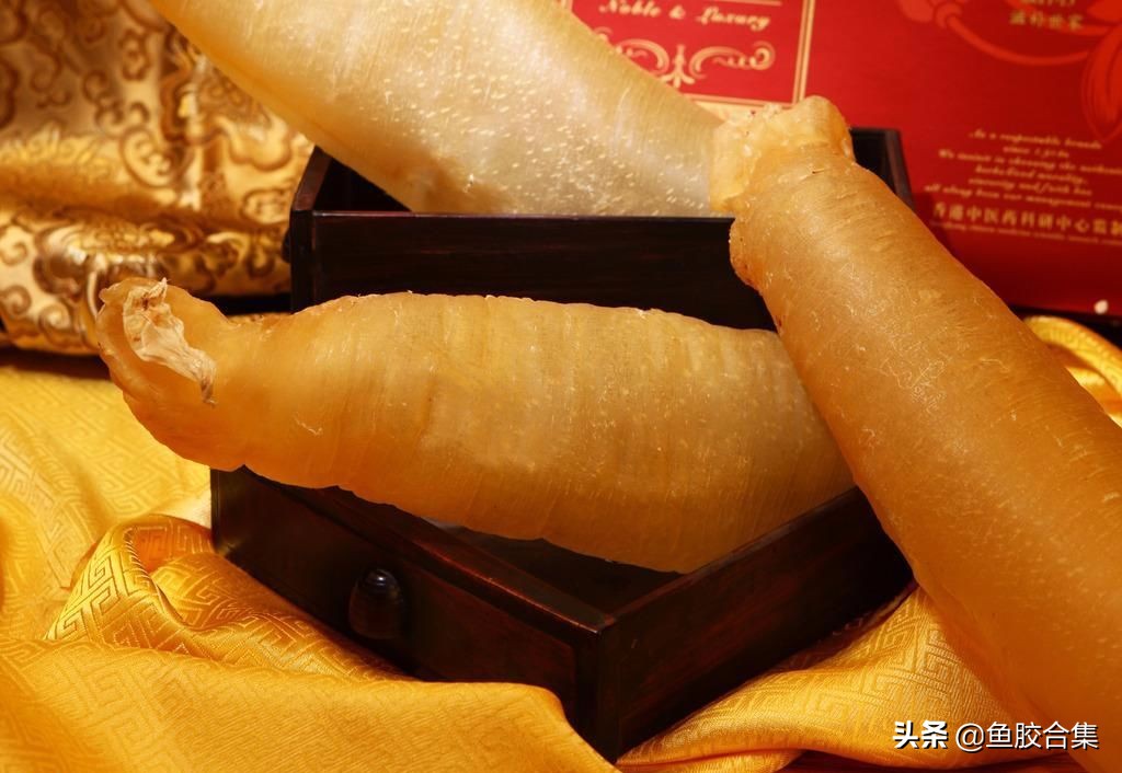 小鱼胶发霉了长毛了还能吃吗,切好的鱼胶发霉了怎么处理