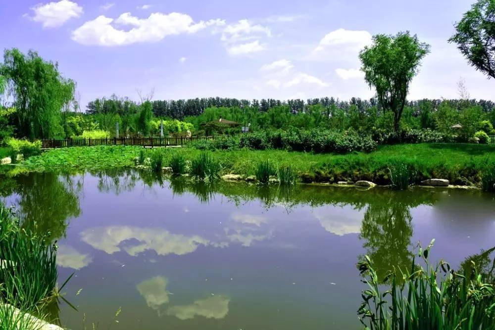 每天一县,天津武清县