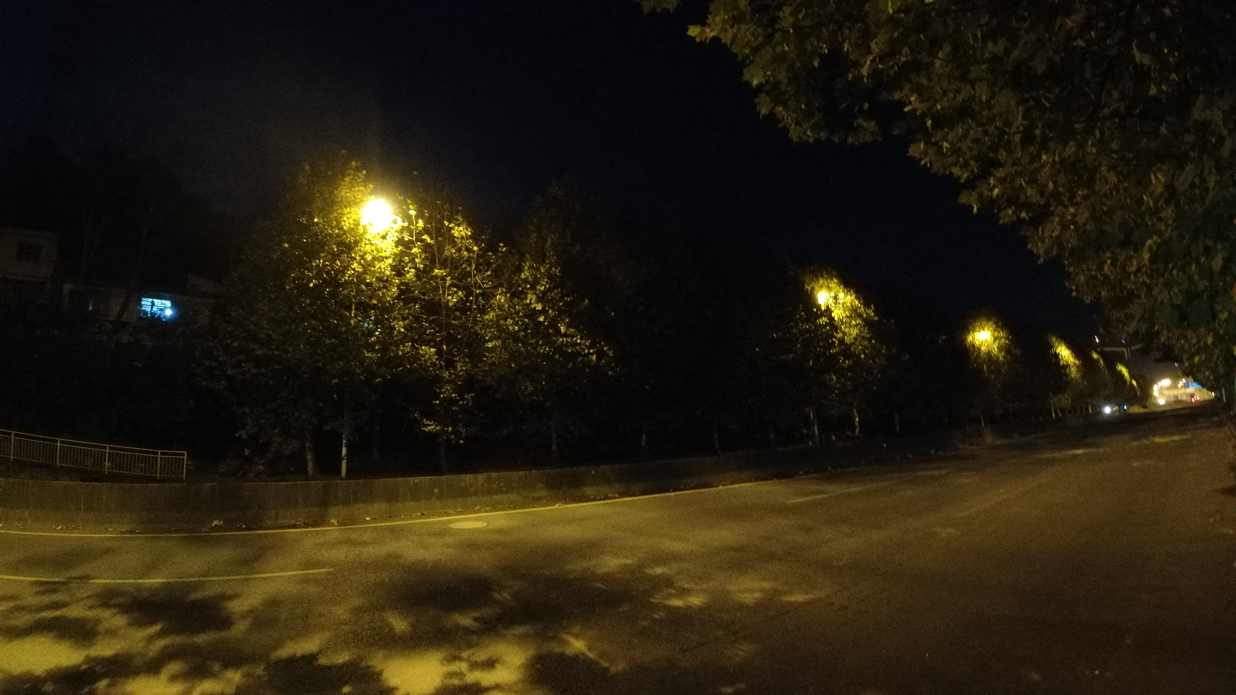 绿化把路灯挡住了怎么投诉,路边绿化带挡住人行道可以投诉吗