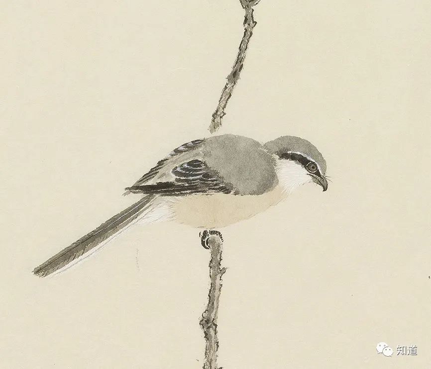 春天的脚步近了好像一切都醒来了,春天的脚步已经悄然而至