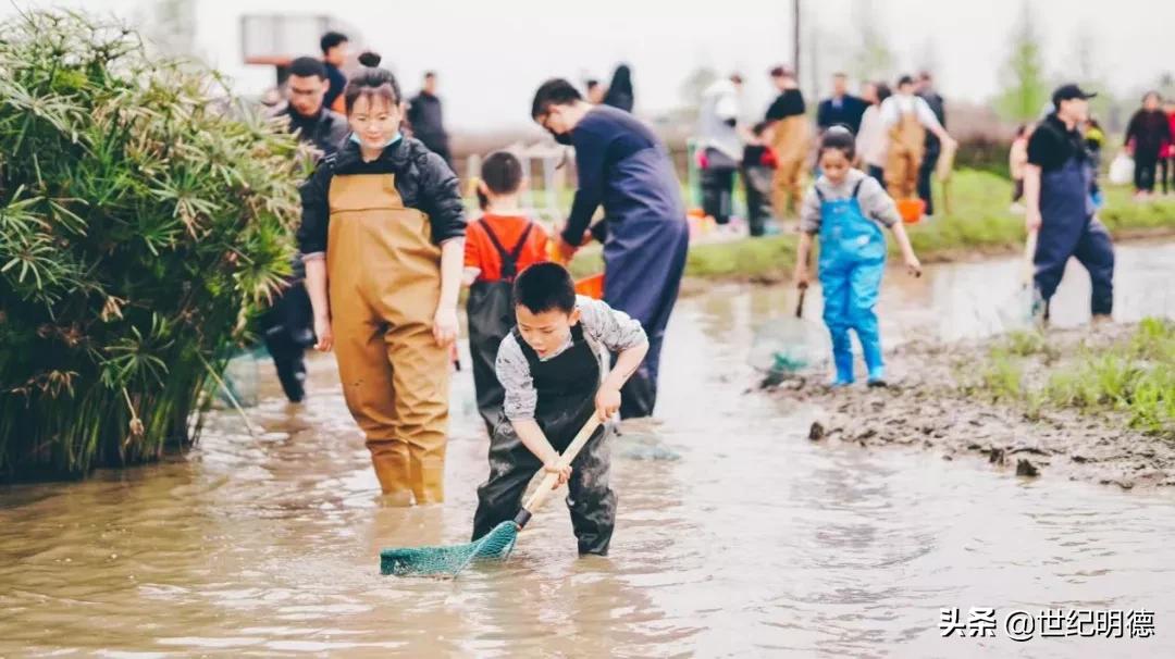 《观明德》|“研”传深“教”，让教育发光