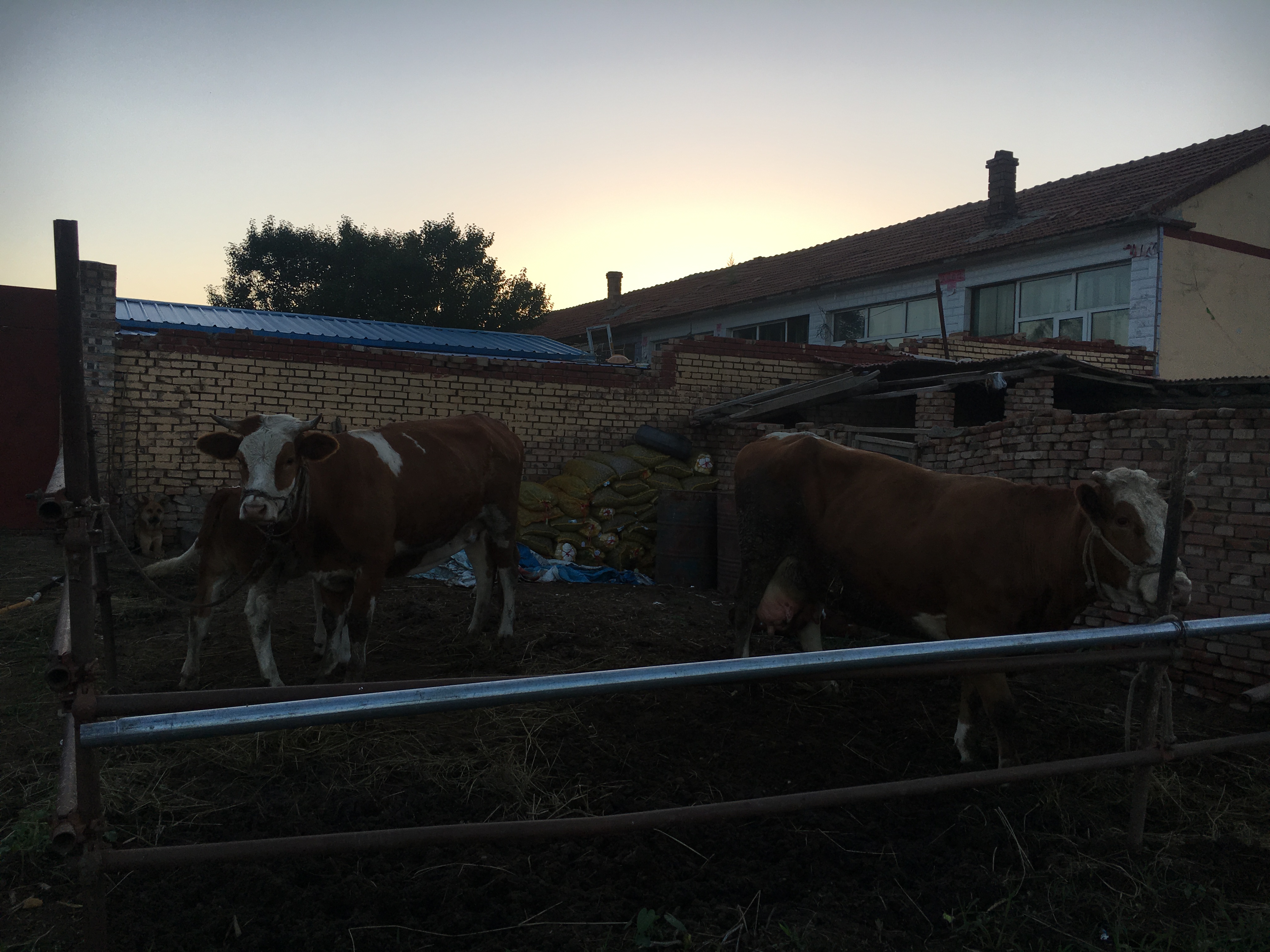张北草原天路和野狐岭哪个好玩,火车去张北的攻略