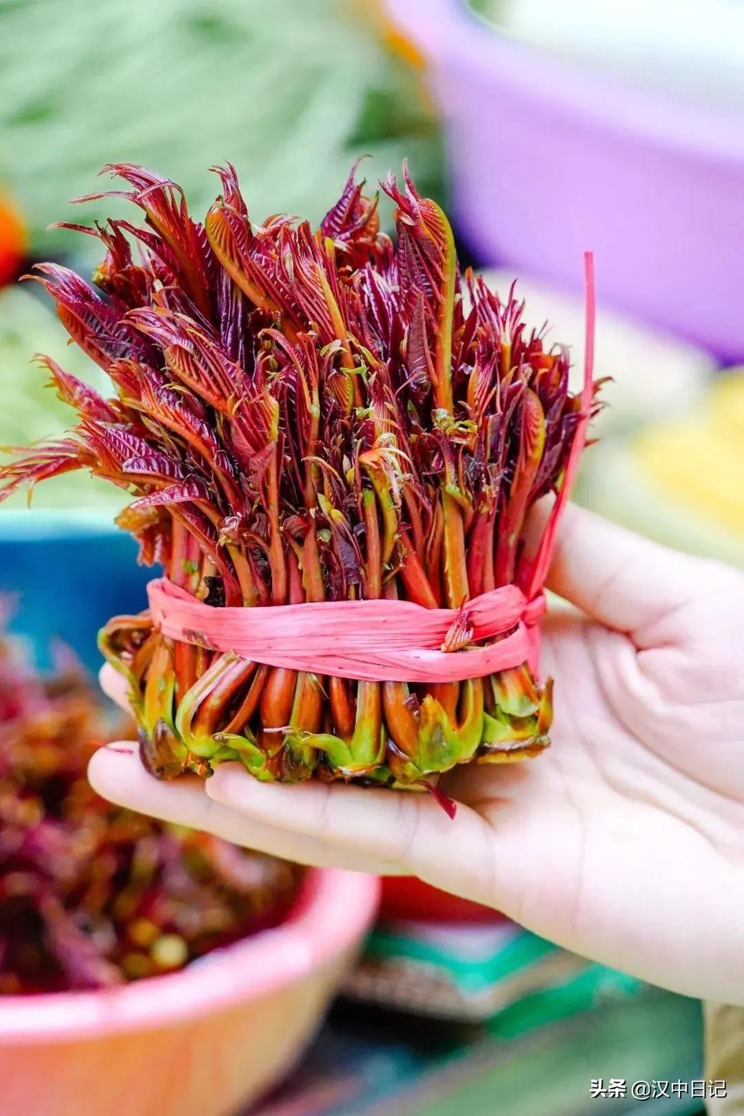 吃掉春天这件事，只有汉中人才懂！