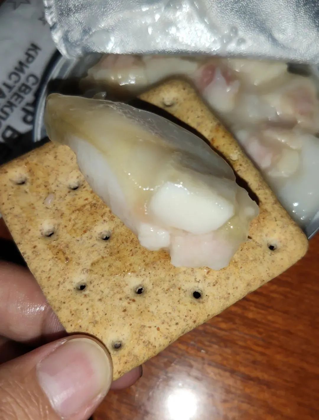 战斗民族吃什么？-俄军单兵24小时*战野**口粮3号餐测评丨评测