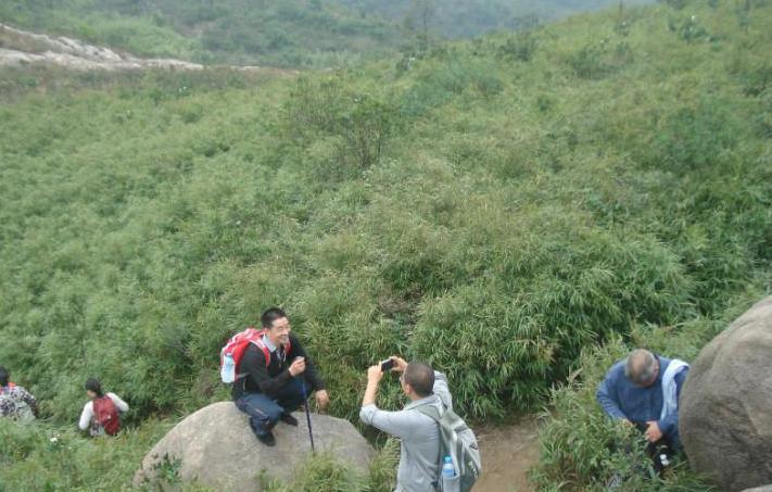 珠海凤凰山登山徒步,深圳凤凰山登山记