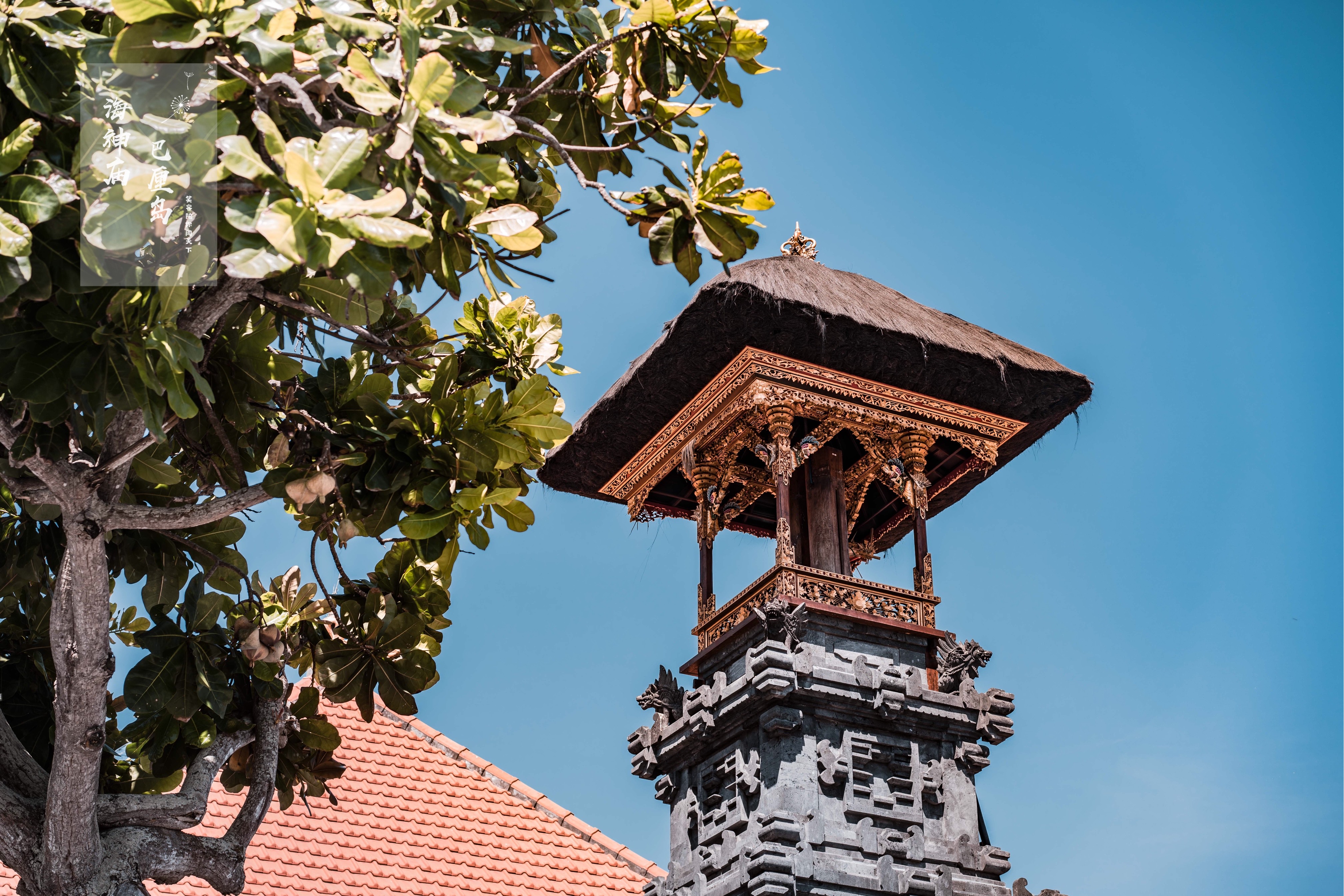 巴厘岛网红打卡地,网红打卡旅游胜地巴厘岛