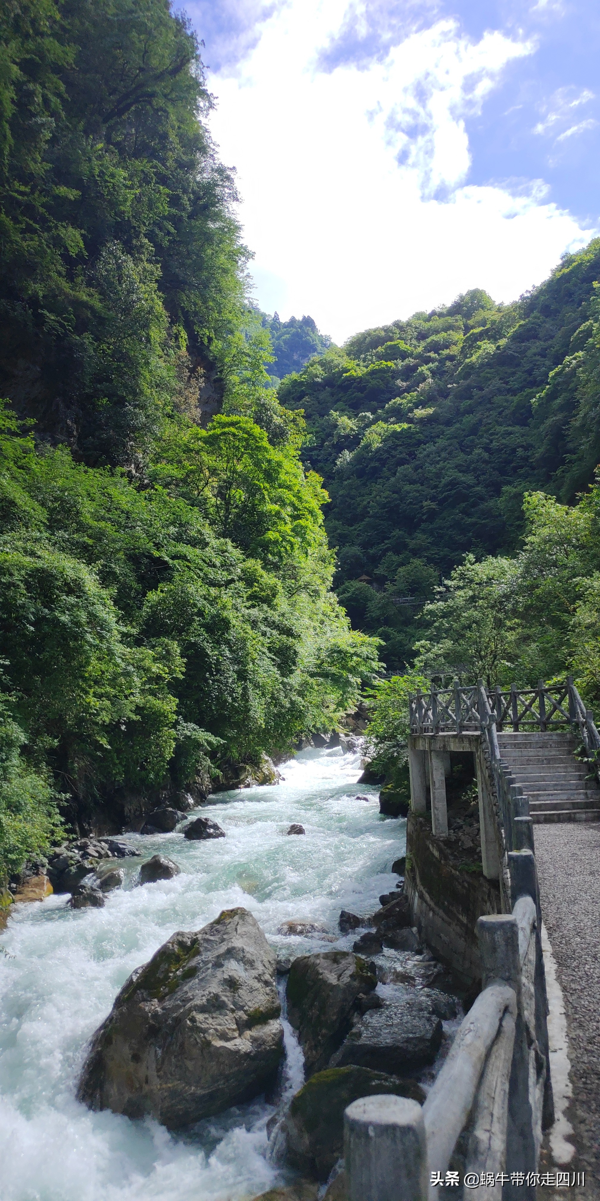 带小朋友出去看小动物,带小孩去海洋动物园