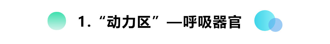 正美体态不对称,正美体态改善扁头是真的吗