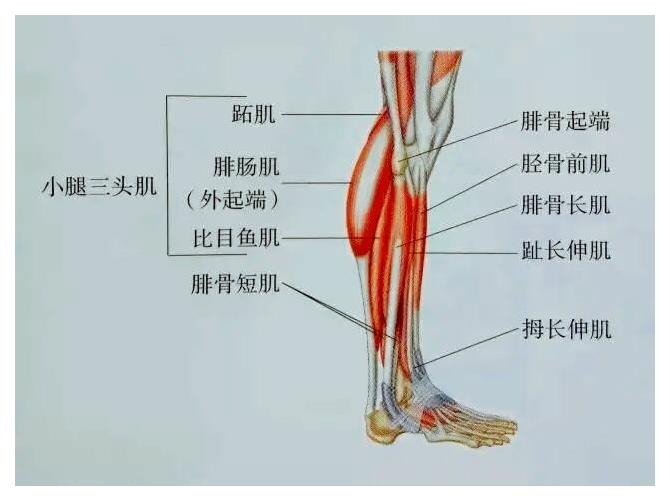 3个办法快速解决深蹲重心不稳，让居家练腿安全、高效，脚丫有用