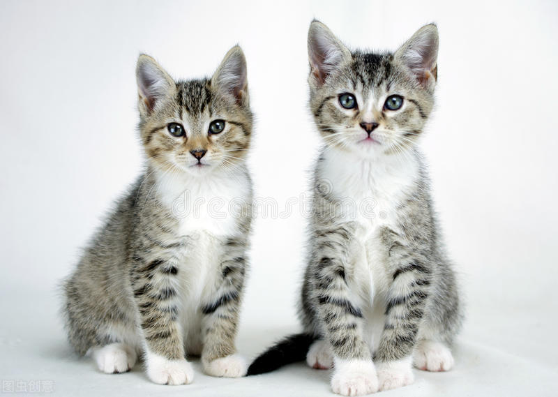 浅谈小学数学课堂有效问题的论文,浅谈小学教育论文范文