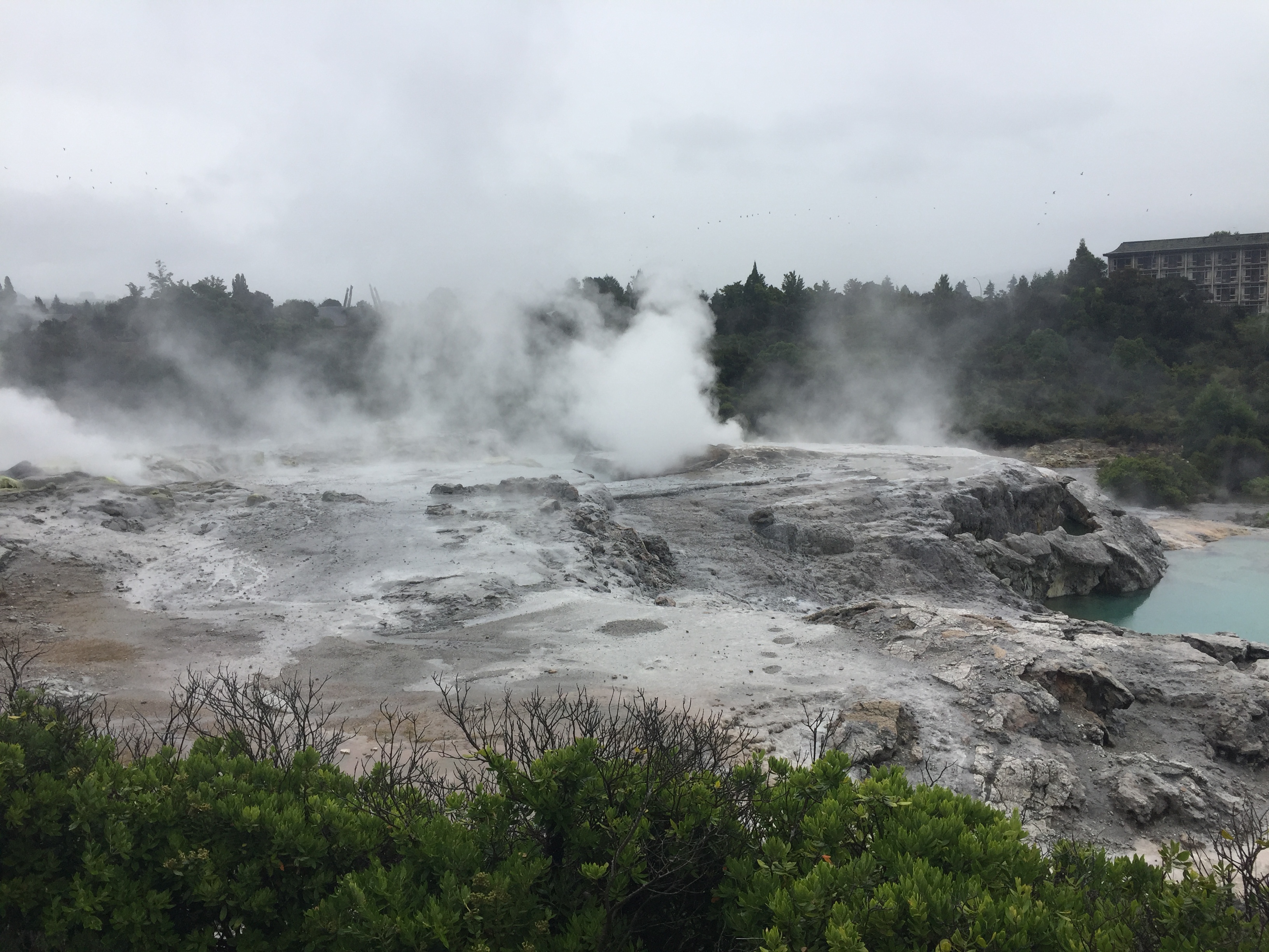新西兰天然农场,成都新西兰牧场