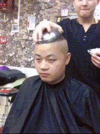 有一匹马不会动了是怎么回事,有一匹马不会动是怎么回事