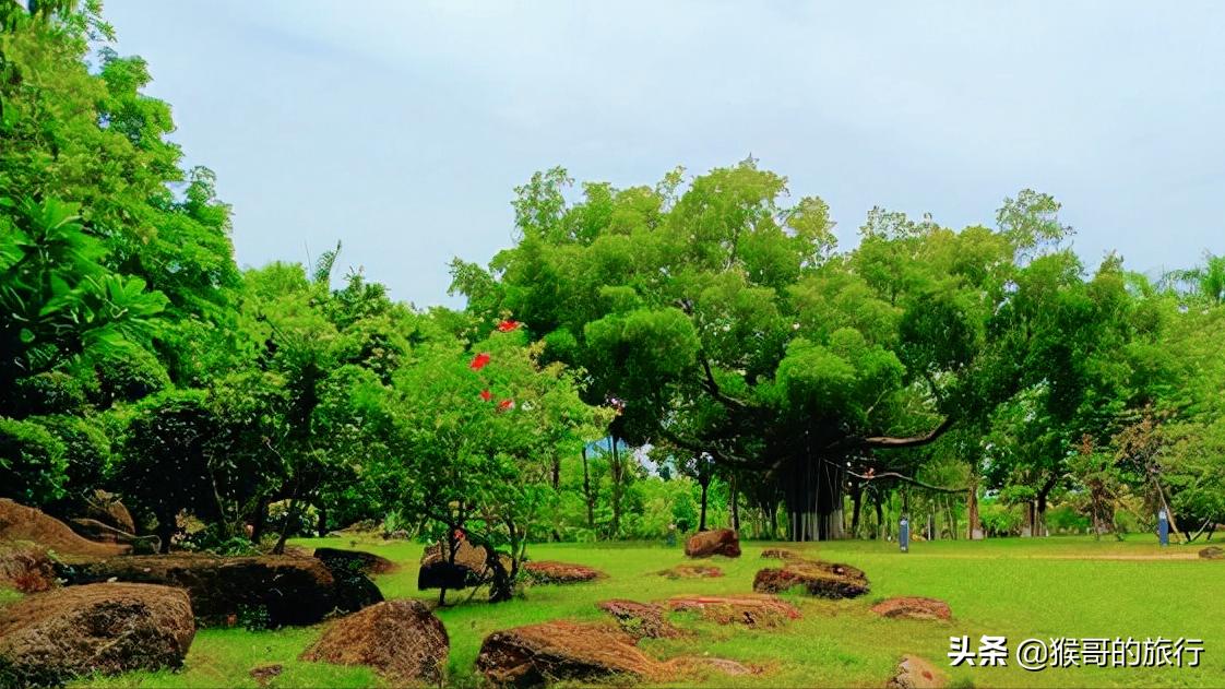 滨海森林公园,被遗忘的滨海新区