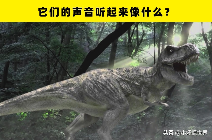 10个至今未被解开的恐龙之谜,关于恐龙的一切资料和恐龙的来源